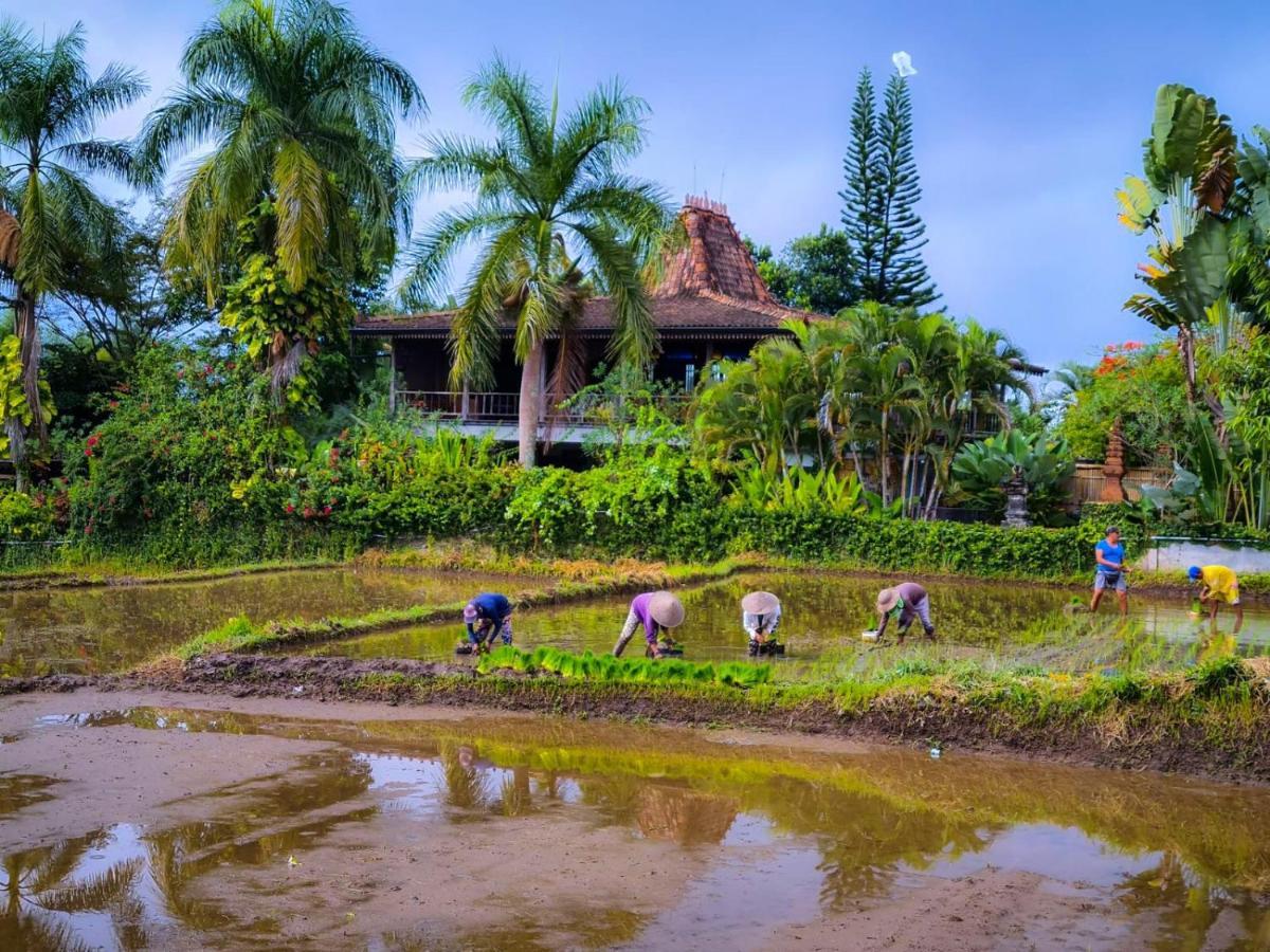 Villa Ayu Dira Heritage House *